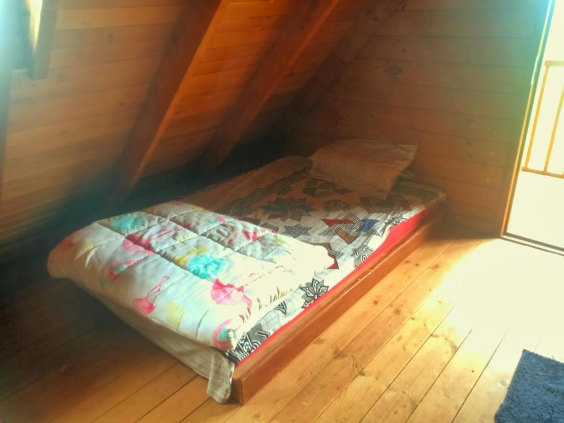 Vila Joy Eco Woodhouse - 5 Bhk House (Adults Only) Ooty Exteriér fotografie