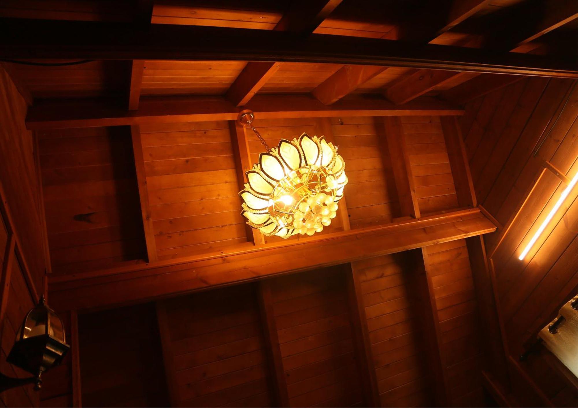 Vila Joy Eco Woodhouse - 5 Bhk House (Adults Only) Ooty Exteriér fotografie